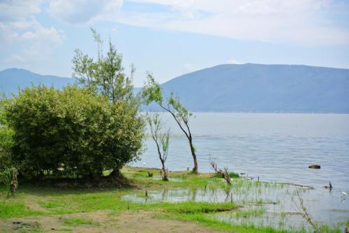 大理环海西路有哪些景点,大理最美的环海公路