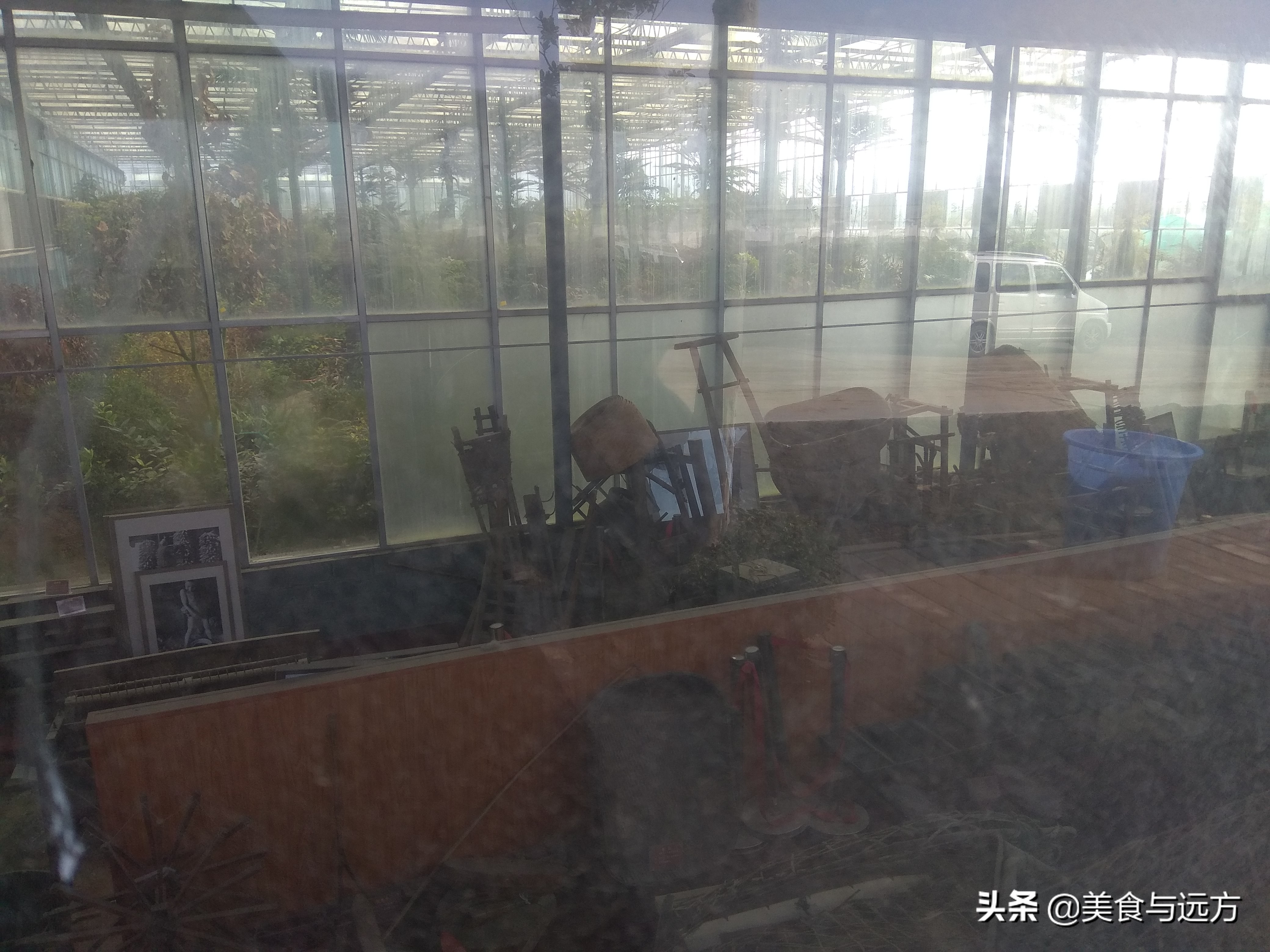 南横线上曾经有个盛农园,如今却是一片死气