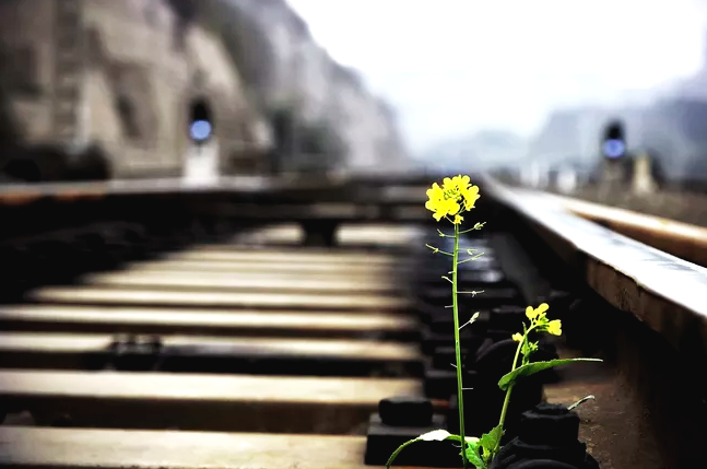 感觉总是没力气没精神不想说话,感觉没精神没力气想睡觉怎么办