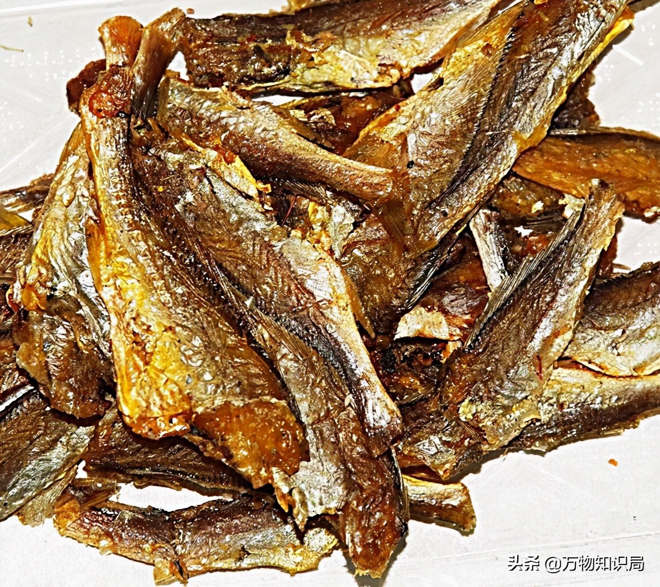 从喂鸡喂鸭到一条11万,我国狠心流放30年,为何还救不起一条鱼?