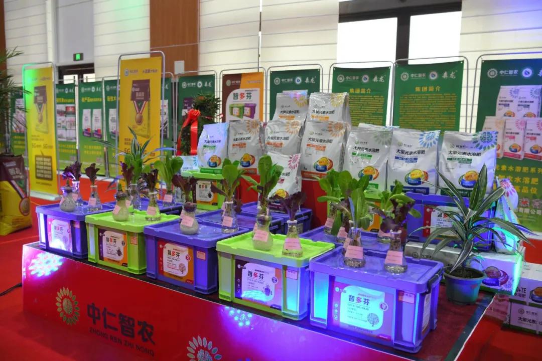 河北中仁集团,河北中仁集团董事长