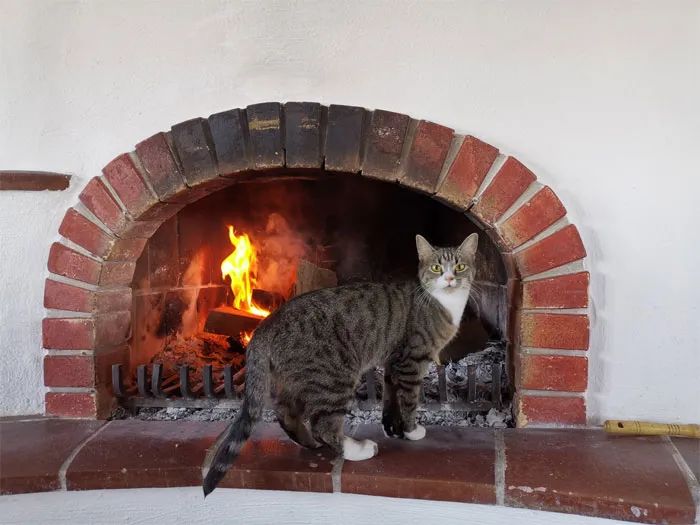 疫情期间住古堡，国外普通女大学生迅速成百万网红，获千万点赞