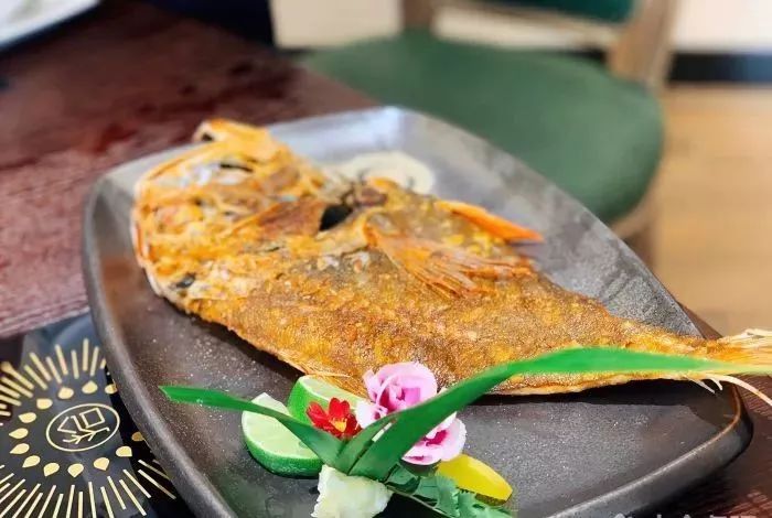 深圳适合自己一个人吃的火锅,深圳好吃的自助餐厅推荐