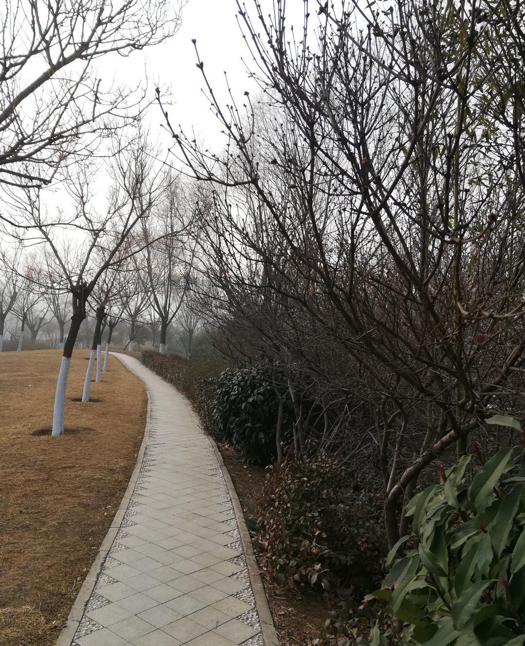 映日荷花别样红湖中美景,莲叶无穷碧映日荷花别样红美景