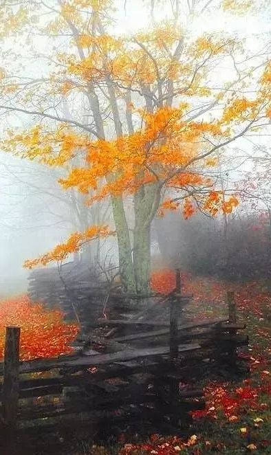 中国县城现状原文,中国县城现状深入调查