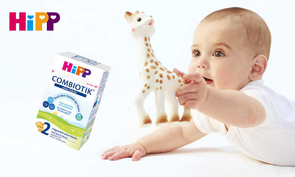 荷兰版和德国版喜宝奶粉的区别,德国喜宝奶粉适合新生儿吗