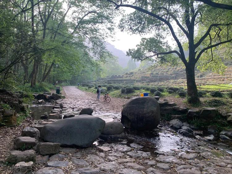 龙井村九溪十八涧徒步最佳路线图,九溪十八涧只有龙井村一个出口吗