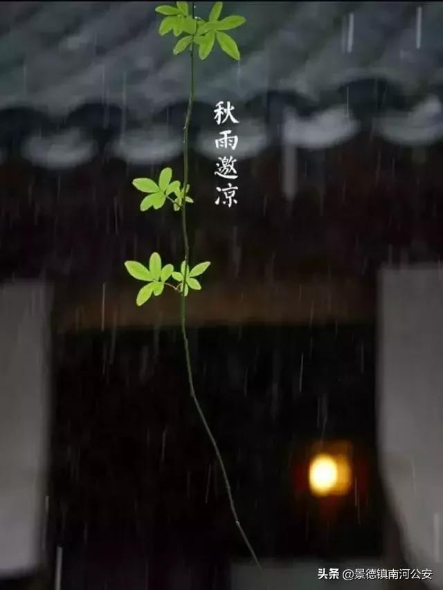 诗词丨33首名作,尽现大唐荣耀289年