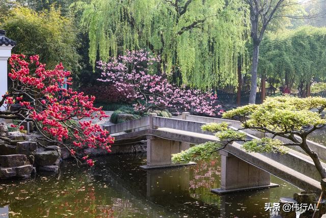 苏州园林之留园中国四大名园之一,苏州园林之美
