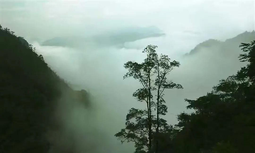 山水永泰，私藏了最美的秋日小美好，还有史上最低优惠等你哦