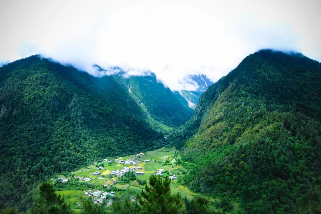 在最美的季节去了呼伦贝尔,一次浪漫的旅行呼伦贝尔