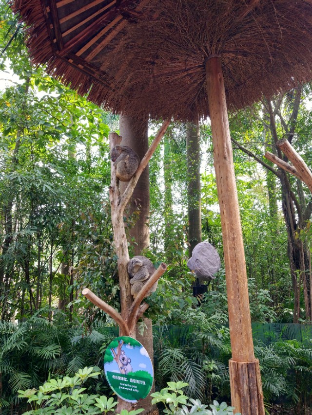 广州番禺区长隆野生动物世界缆车,广州旅游长隆野生动物世界