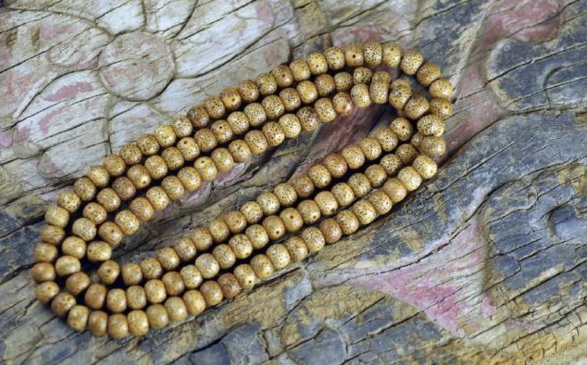 文玩菩提各种盘玩变化,什么菩提盘玩后价格高