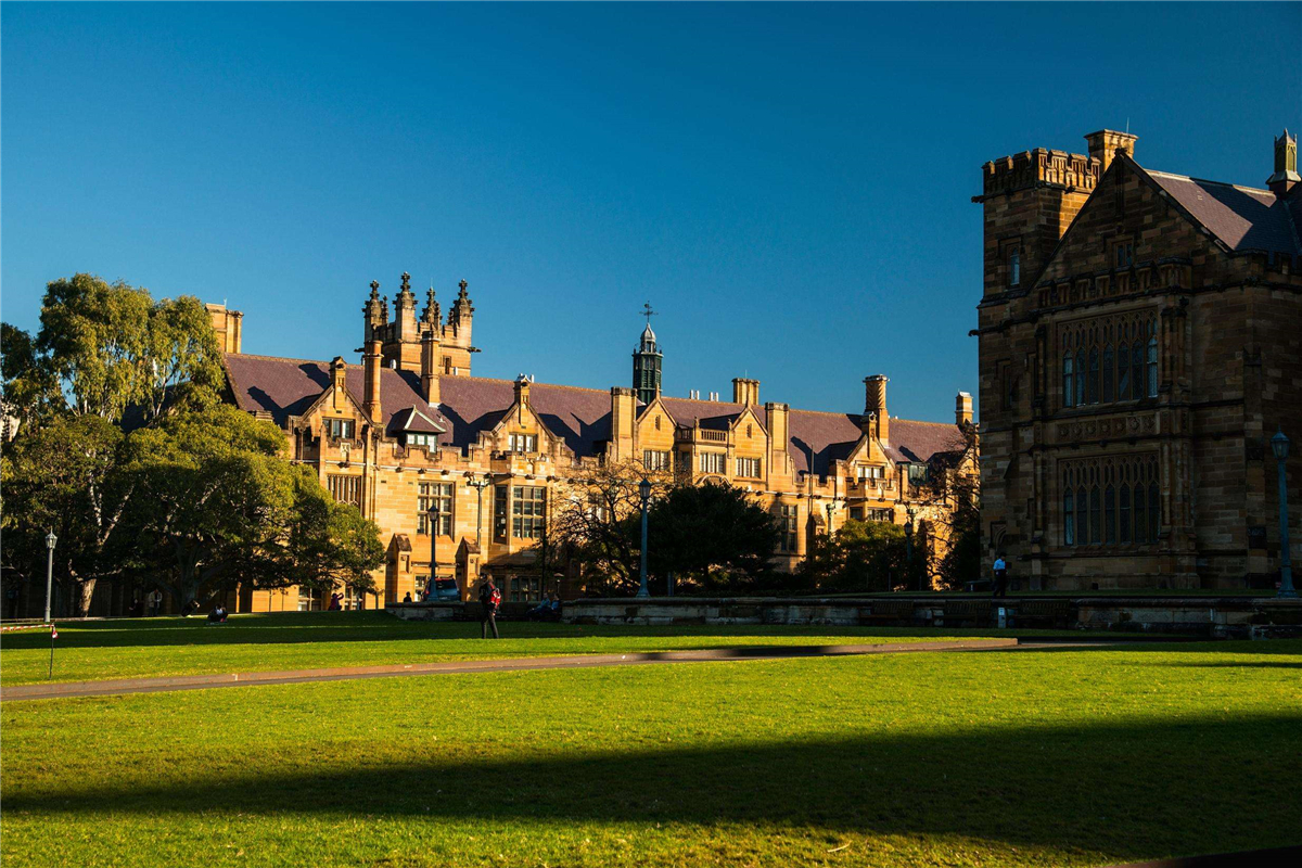 澳大利亚袋鼠有多可怕 (袋鼠为什么称霸澳大利亚)