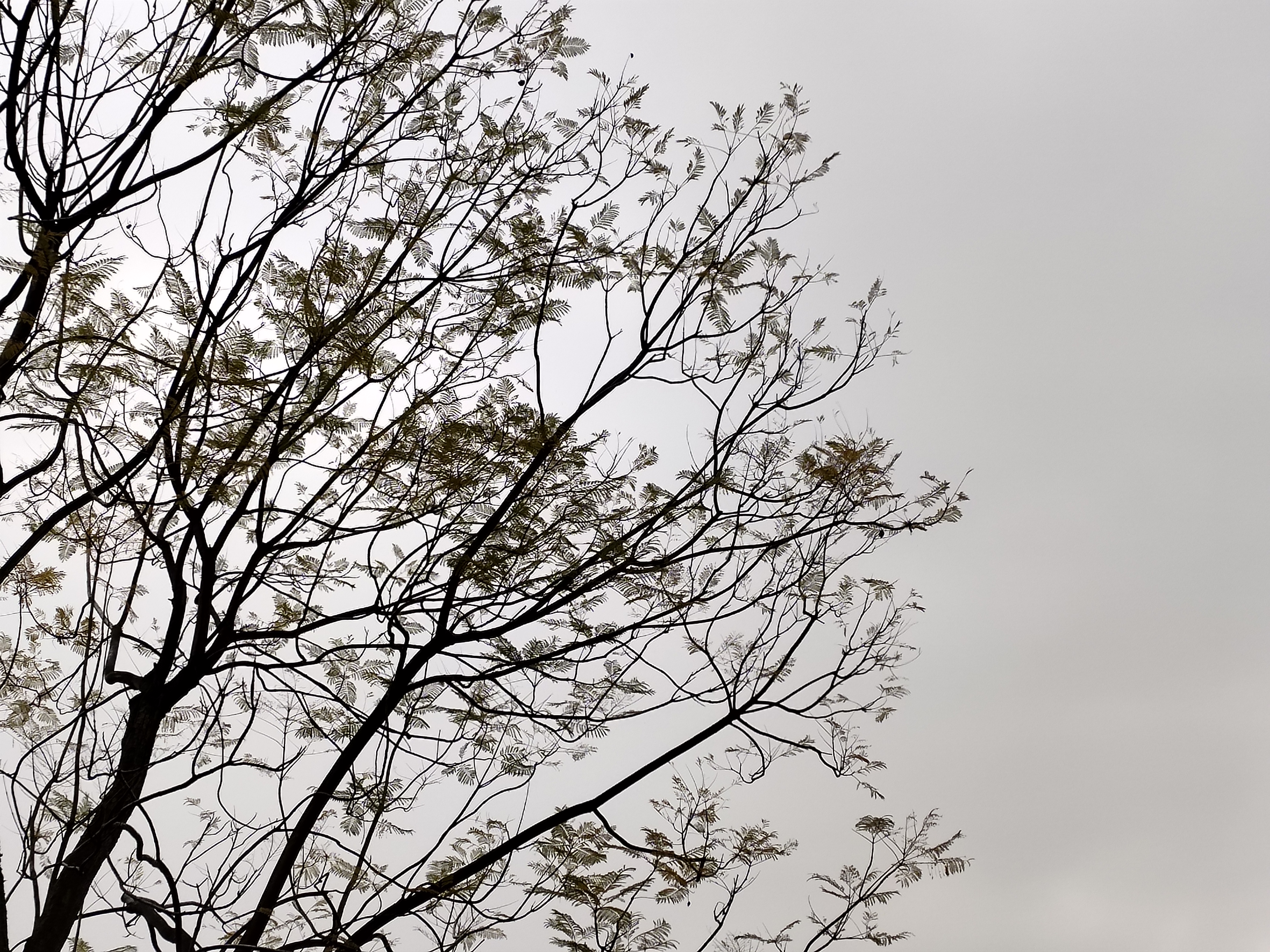 vivox27深度体验,内外兼修软硬兼备vivox23评测