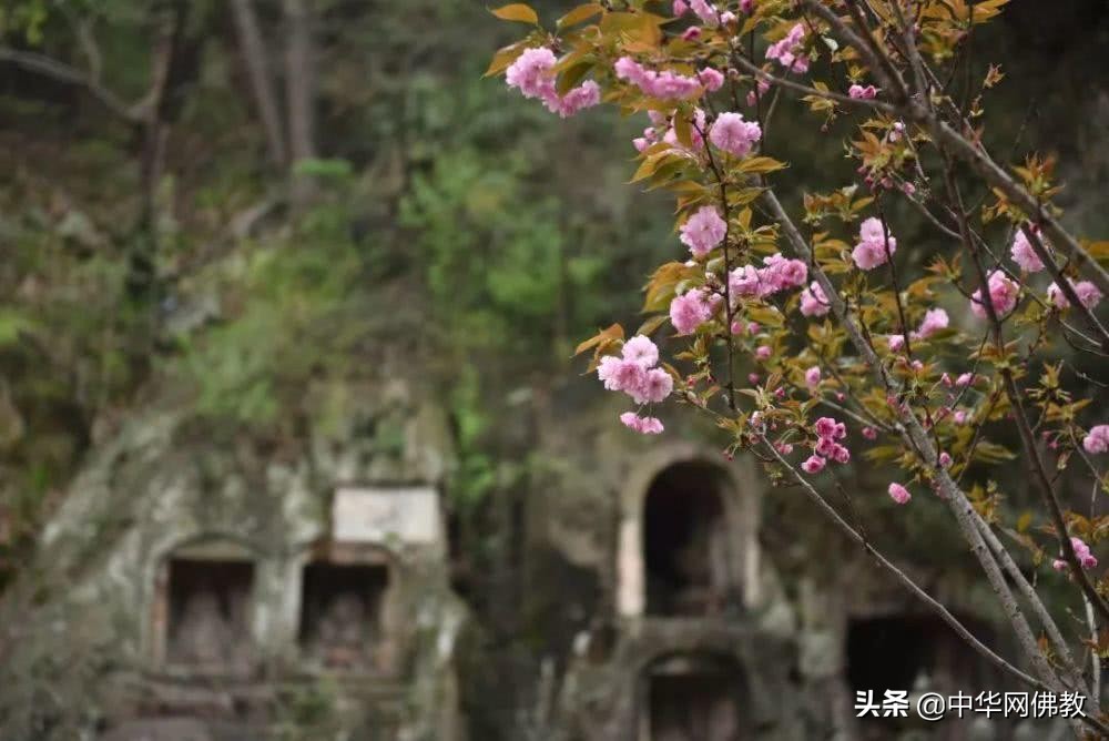 看佛有什么规矩,看佛经禁忌事项