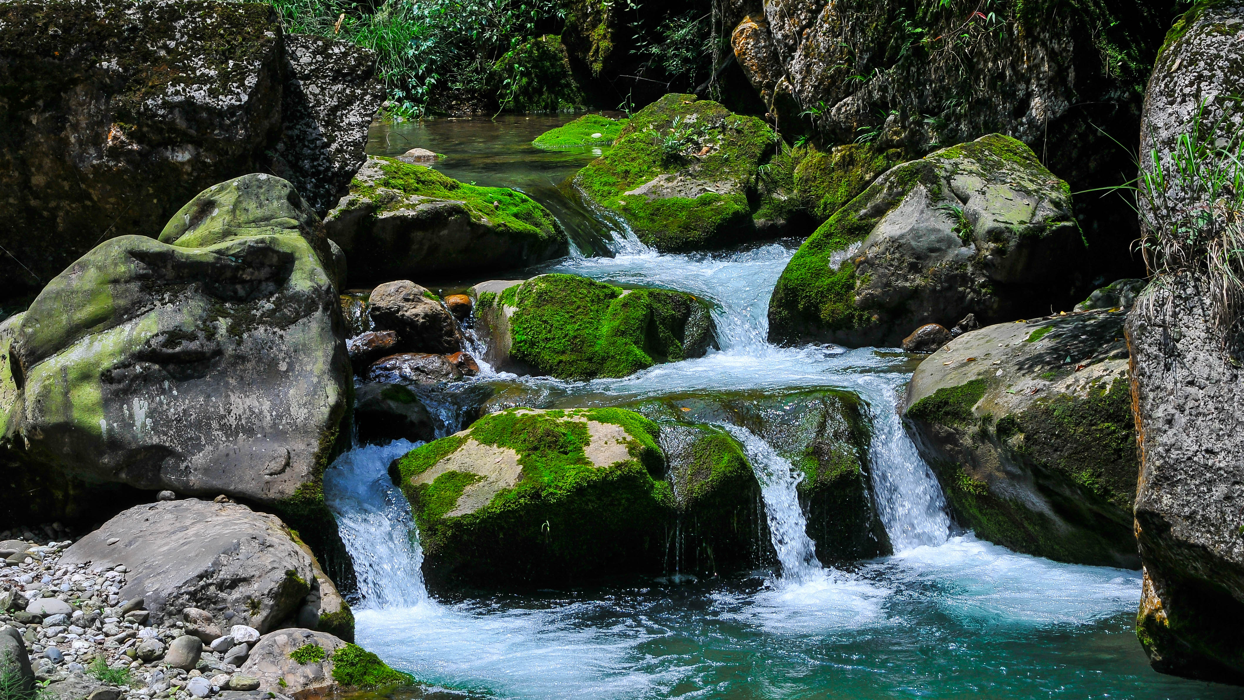 青城后山的民宿哪个性价比高,青城山必住的亲子民宿
