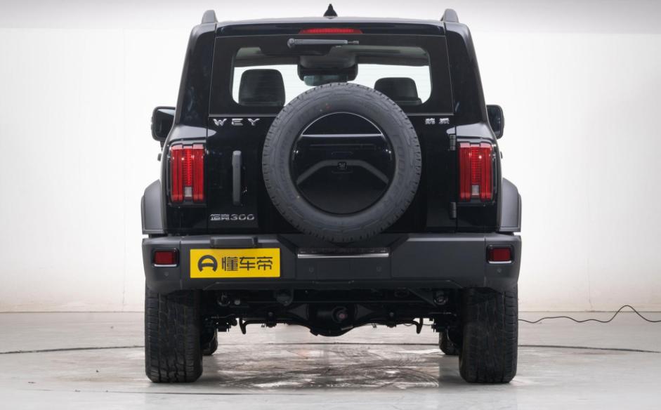 长城坦克300报价七座,长城坦克300最高配落地