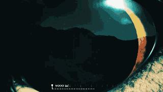 达尔文进化论的新物种形成,达尔文进化论为什么没有新物种