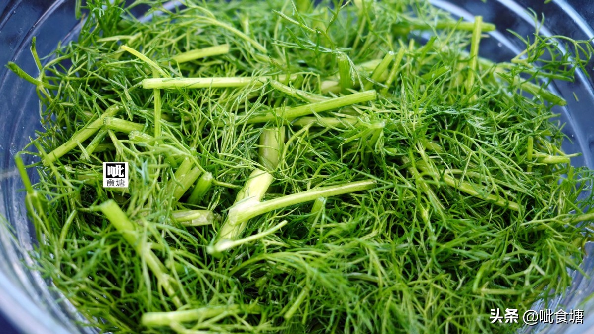 茴香鸡蛋馅饺子老东北美食,最好吃的茴香馅儿鸡蛋饺子