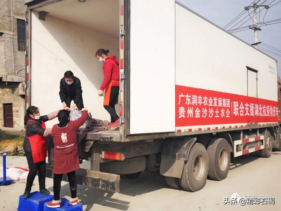 同比上升50%！润丰集团确保供港蔬菜供应，助力全国抗疫！