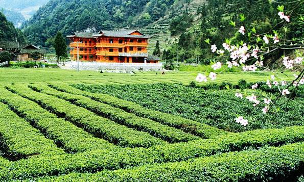 五一武汉市周边游,五一武汉周边短途旅游推荐