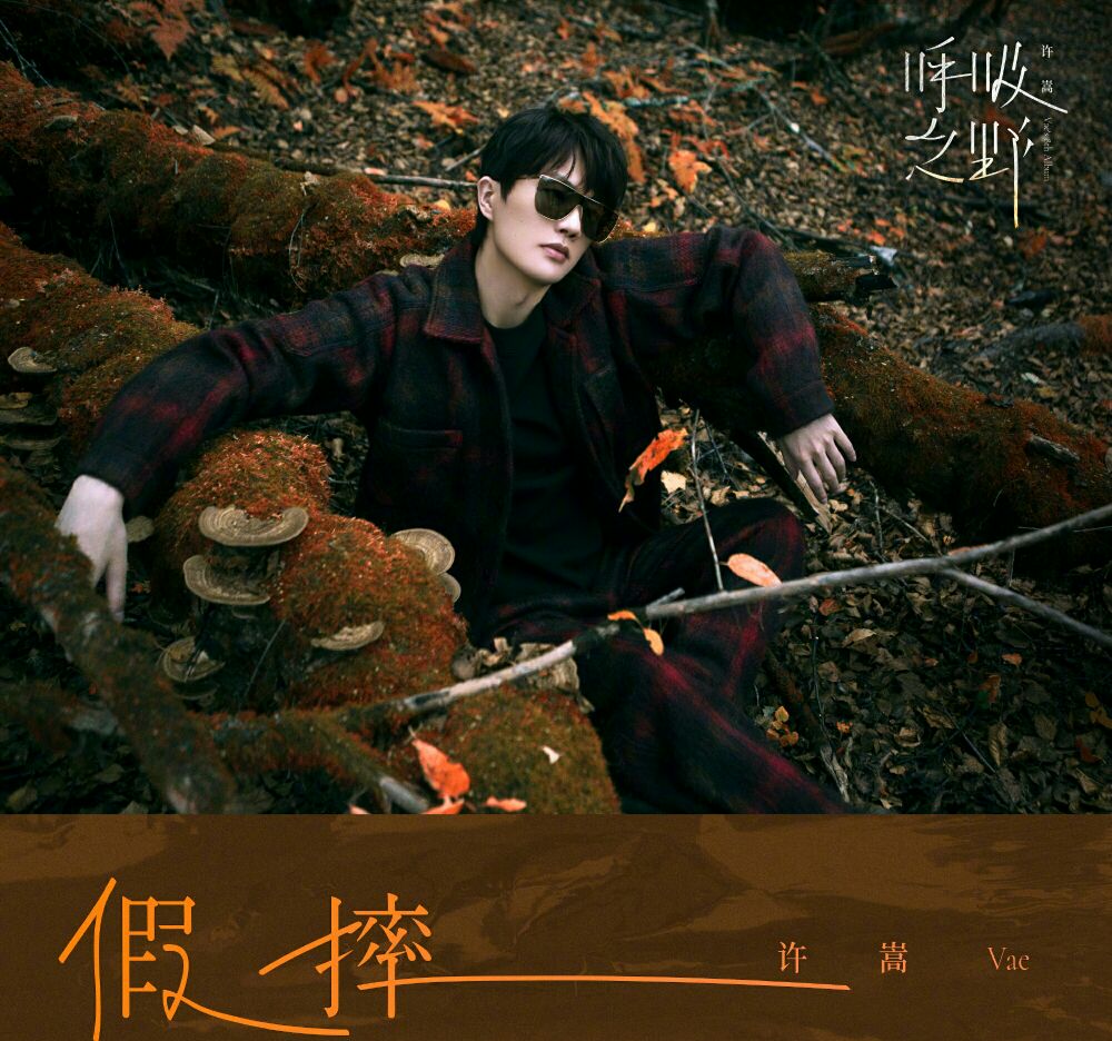 过气歌手许嵩上综艺,许嵩第一次开演唱会门票有多难抢