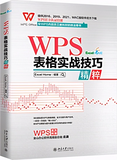 wps技巧提升你的办公效率,wps表格100个常用技巧对比