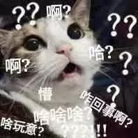 猫德动物医院治猫瘟,福懋动物医院好不好