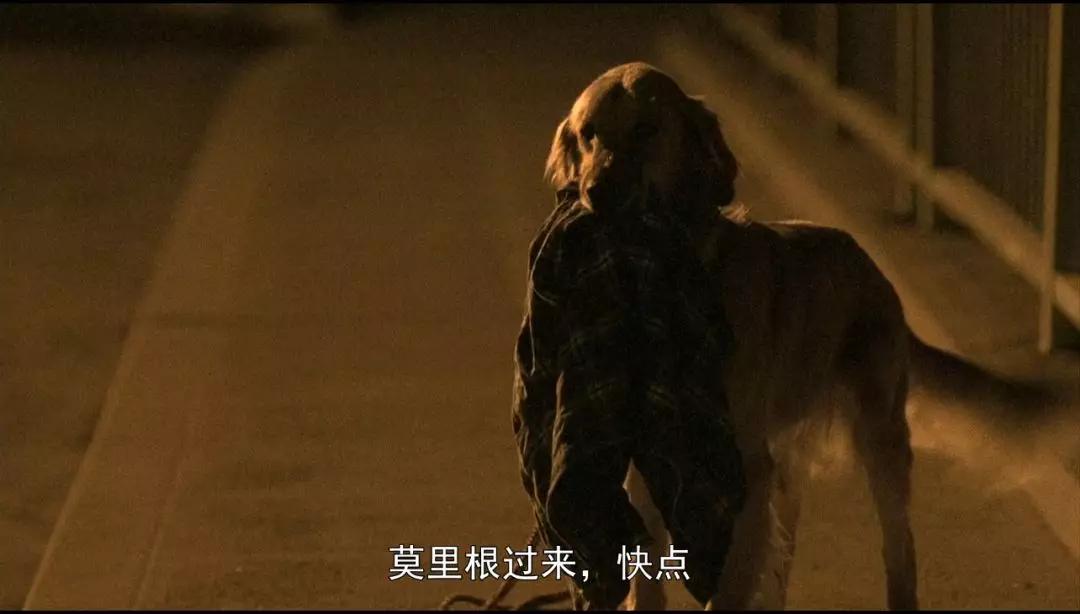 一部被低估的黑色幽默经典电影,一部极具讽刺意味的黑色幽默电影