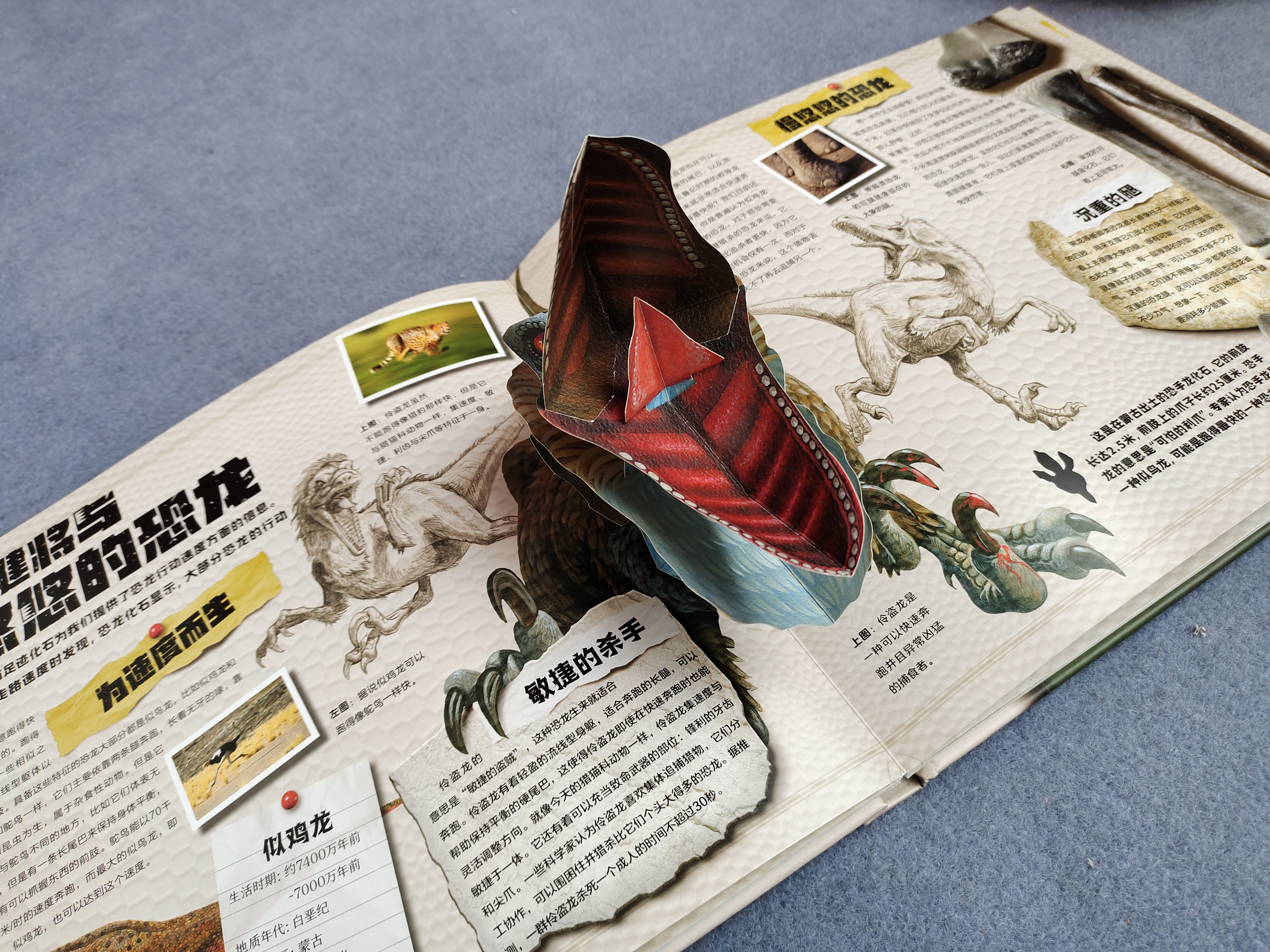 世界上知识点最全的恐龙百科全书,恐龙百科全书恐龙世界的无穷奥秘