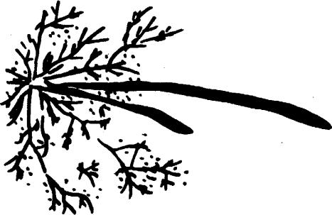 看火花识材料,看火花识别贵金属