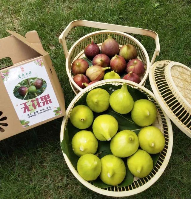 家在北仑,我有一个家北仑