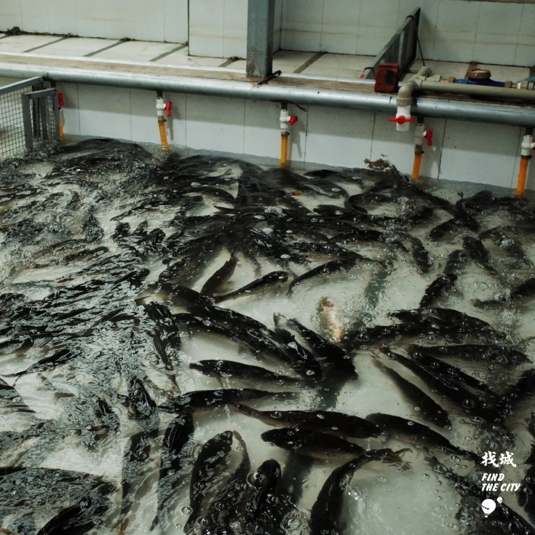 南宁拿货最便宜的市场,南宁最便宜的东西批发市场