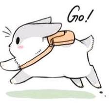 水族水草知识分享,分享养鱼干货