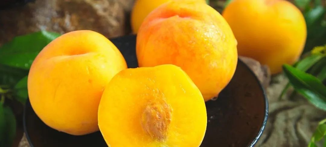 脆桃和硬桃,脆桃和软桃的区别是什么