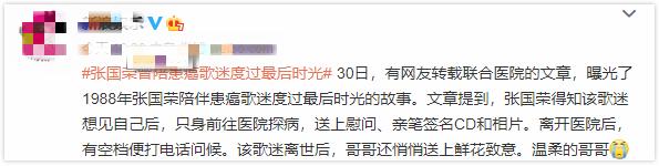 张国荣对陈凯歌的看法,张国荣对陈凯歌评价