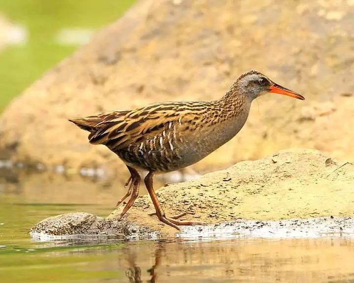 那些属于90后的童年记忆,盘点那些令人怀念的童年记忆