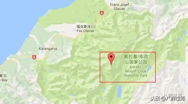 引入活青口贝、鲜帝王鲑,新西兰海产出口商的新生力量!