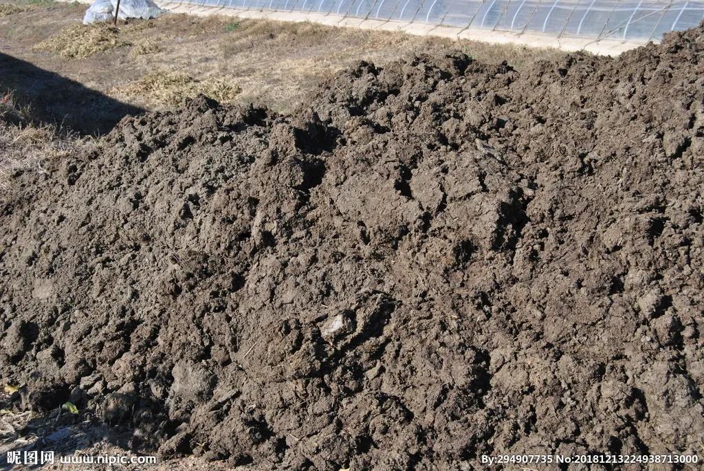 东北话四个大字怎么说,东北话名词和动词