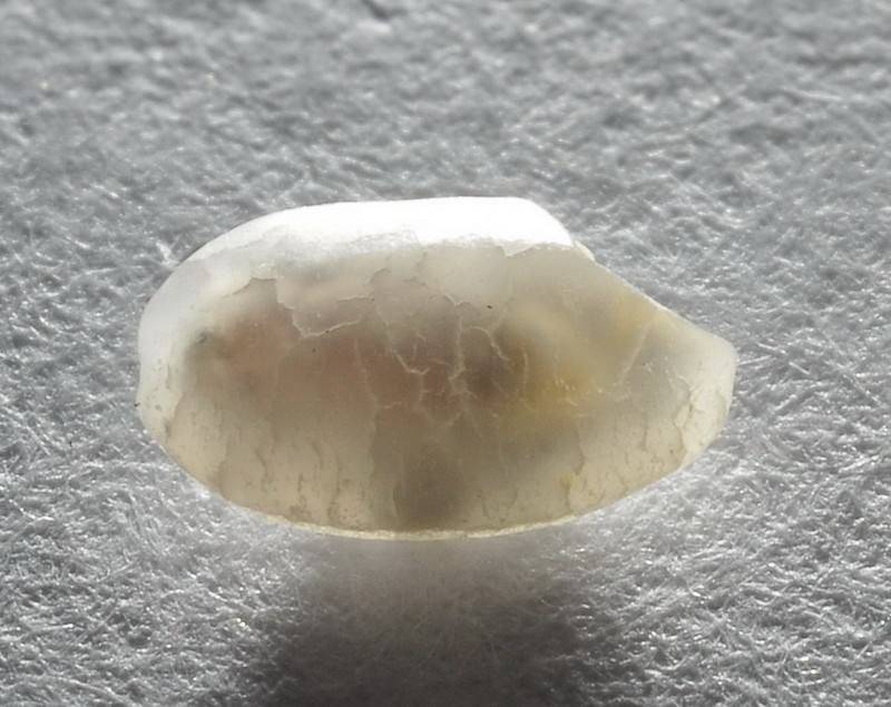 大米里有微小的虫子,米饭里的小黑虫子