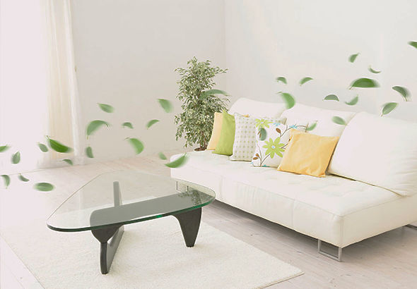 梅雨天开一晚上除湿可以吗,梅雨怎么除湿最快