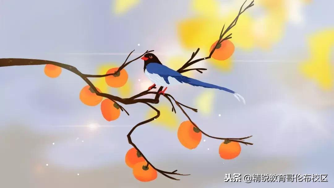 小学修辞手法句子类型知识点总结,小学带修辞手法的阅读理解例文