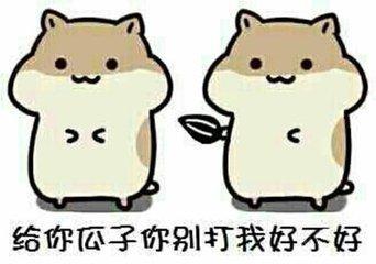 傲风和云狂小说,傲风云狂完结小说阅读