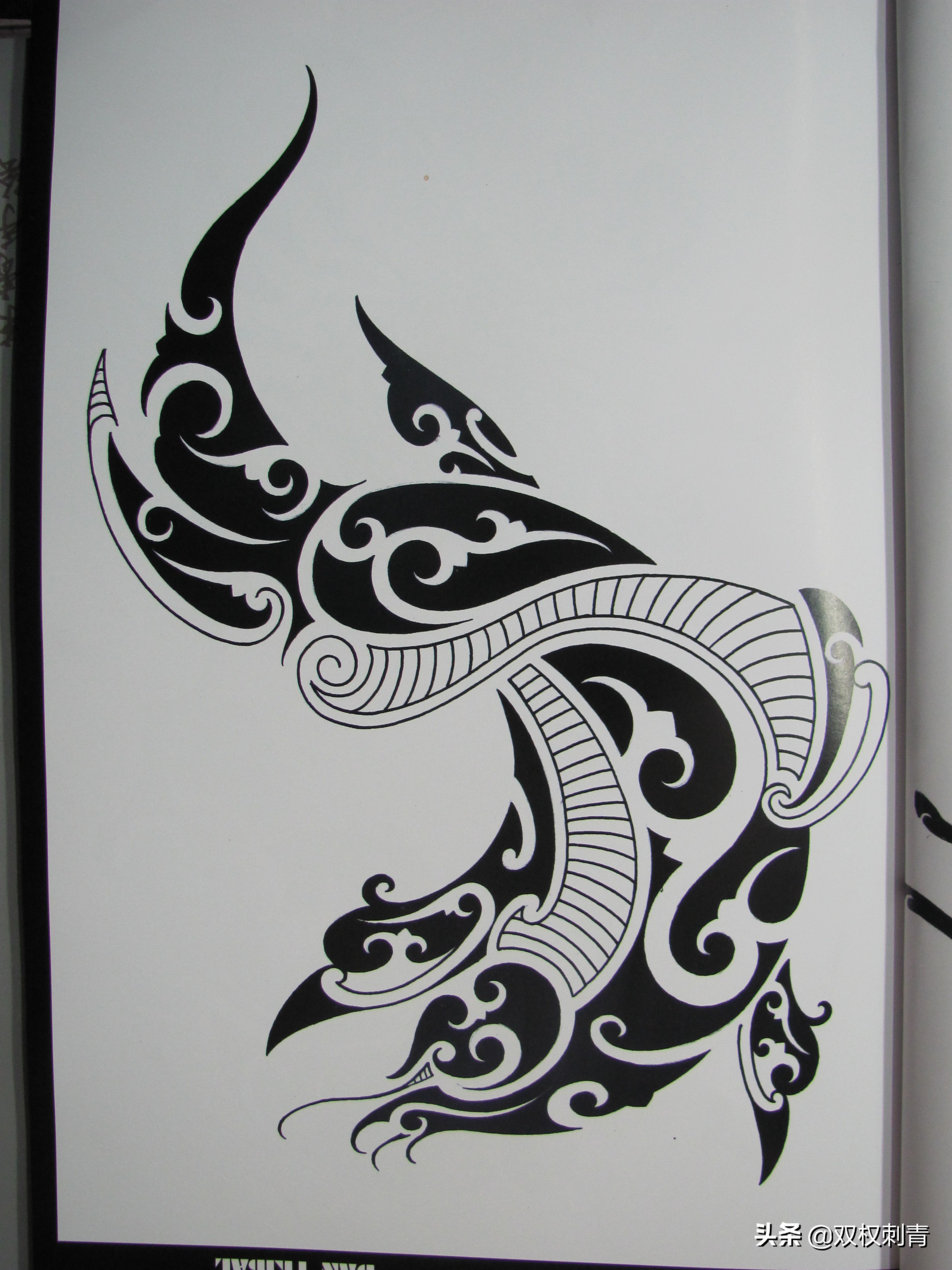 凤凰图腾图,张氏图腾图