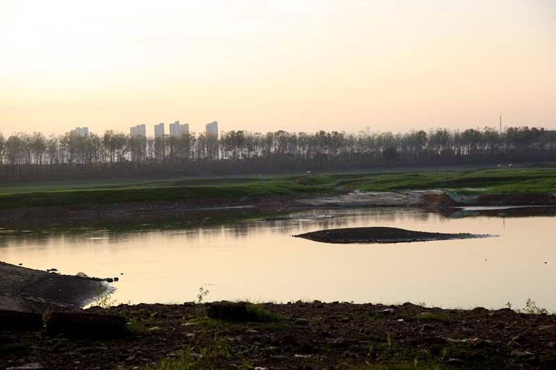 武汉花海上新,2020年武汉花海