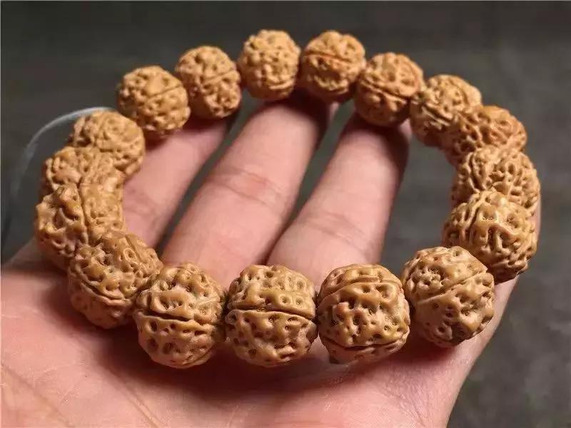 小金刚怎么上手,小火说