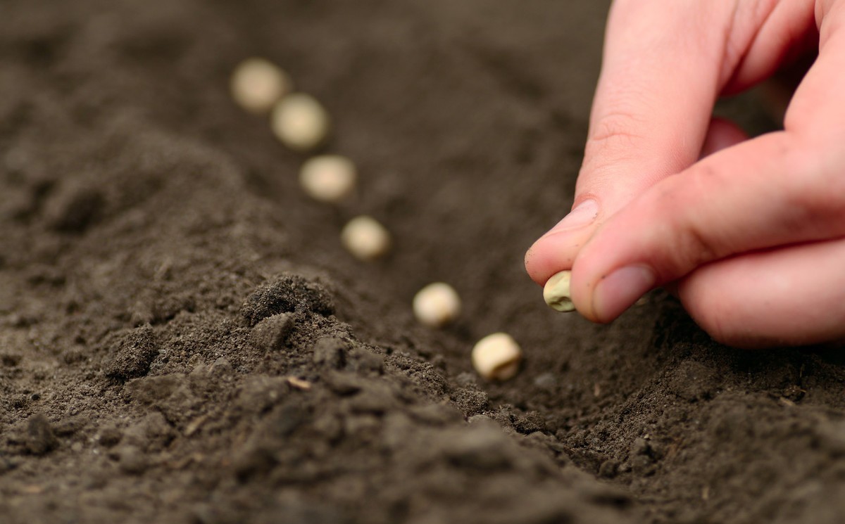 报告:智慧农业或成全球经济新增长点;新知识!什么是农业4.0