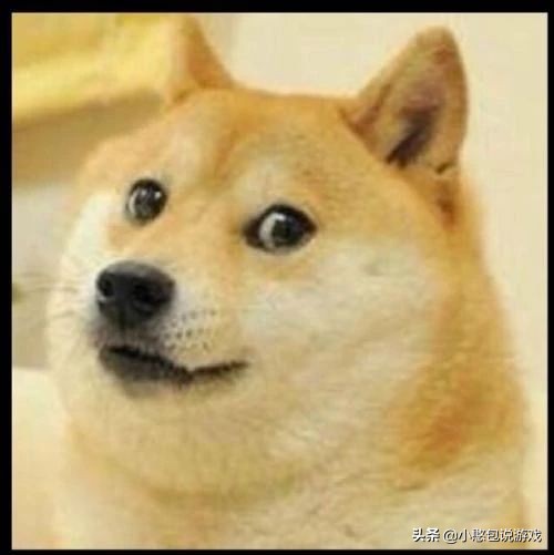 4399以前的经营游戏,4399有哪些消失的页游