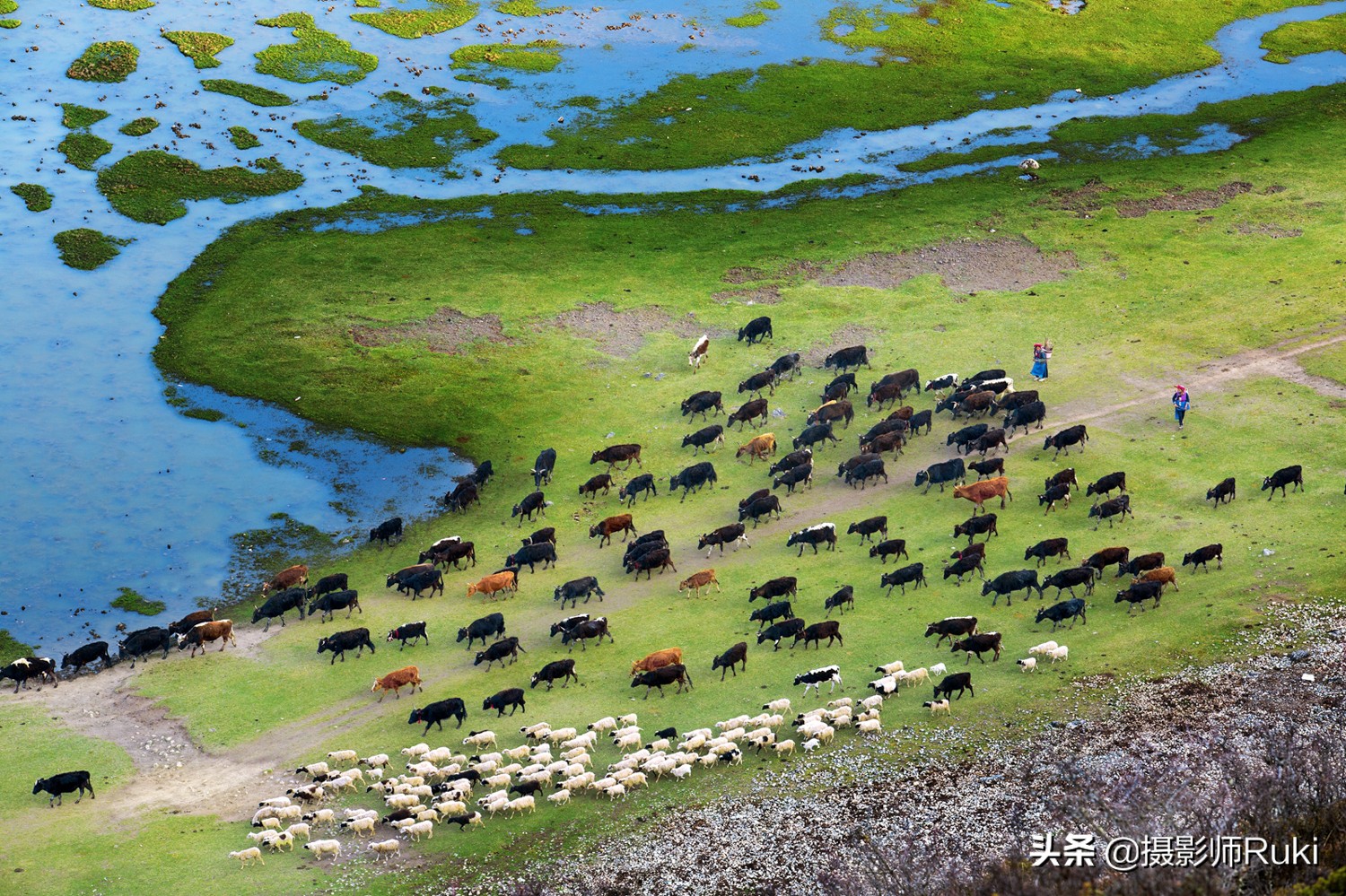 关于摄影的工作有哪些,摄影是一个浪漫的职业